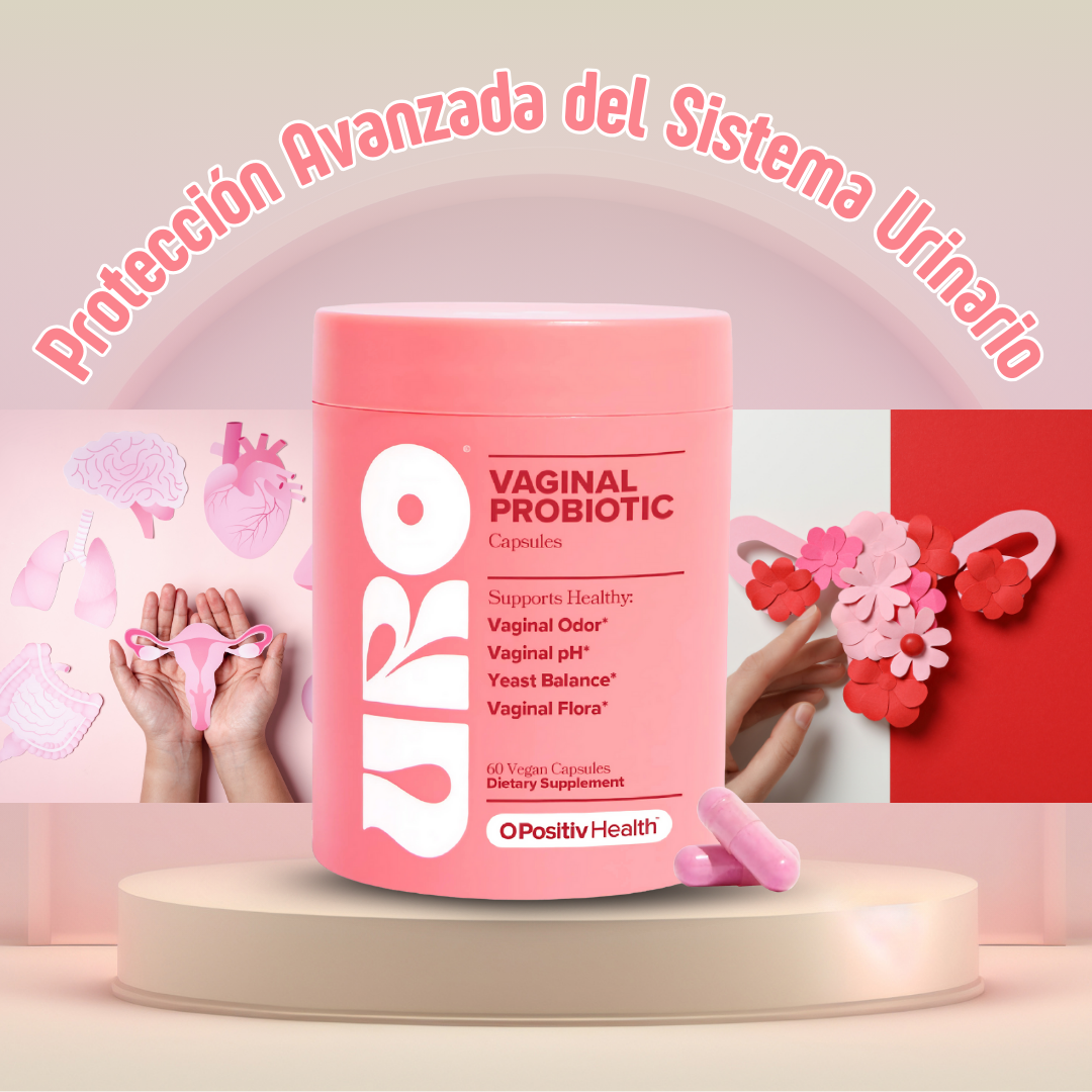 Encabezado