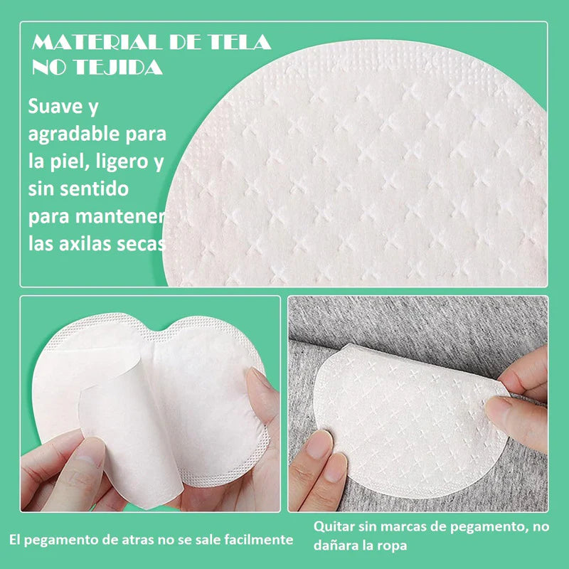 Encabezado