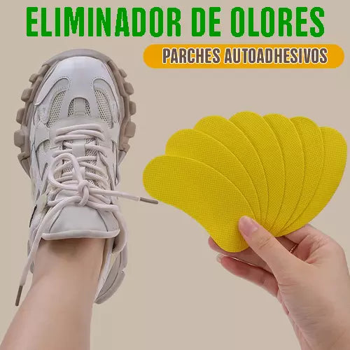 Encabezado